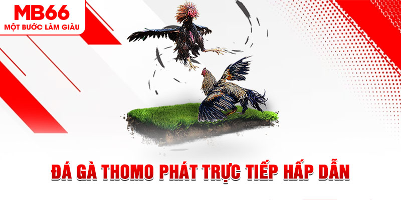 hay 88 xổ số miền bắc 30 ngày