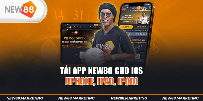 hay 88 gà chọi cậu thanh