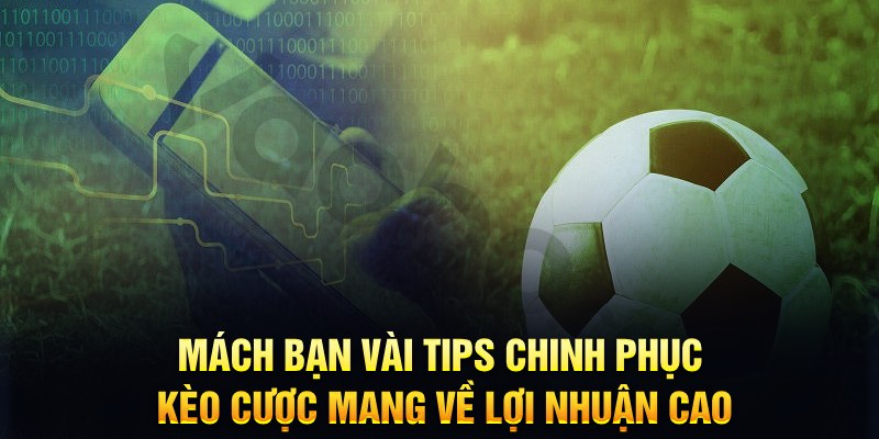 hay 88 đăng nhập phỏm hàng đầu