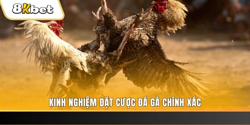 hay 88 xổ số thứ bảy hàng tuần