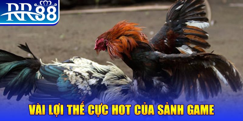 hay 88 xổ số quảng nam