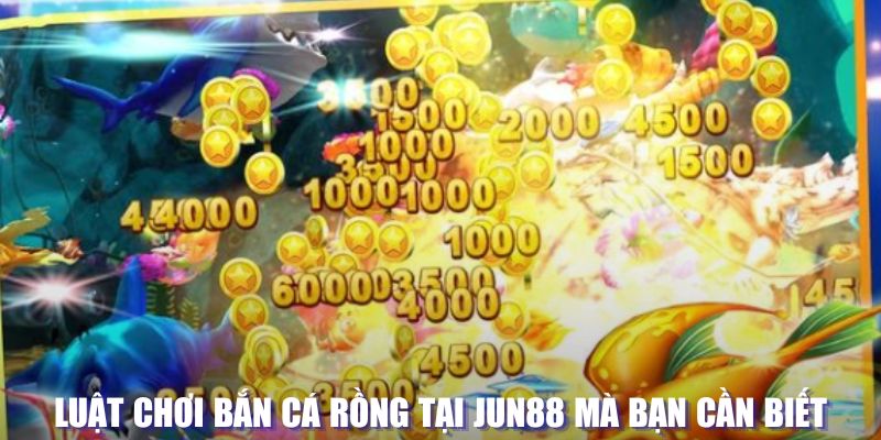 hay 88 xổ số đài hà nội