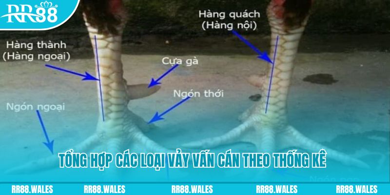 hay 88 xổ số miền nam thứ sáu