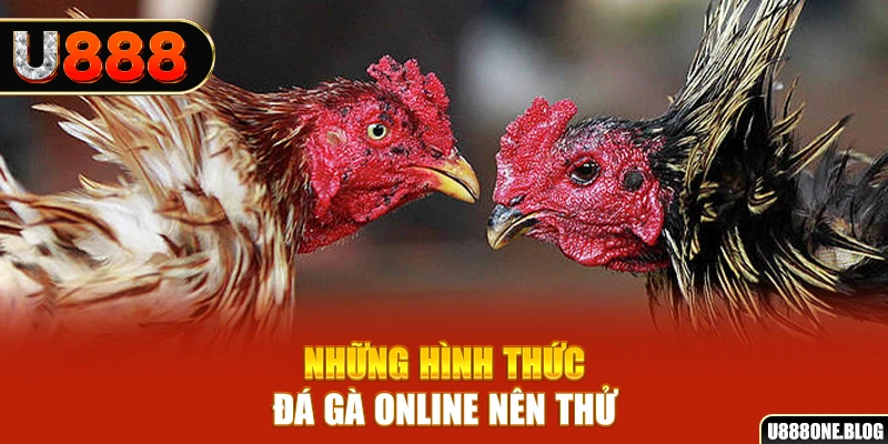 hay 88 nổ hũ ai là gì