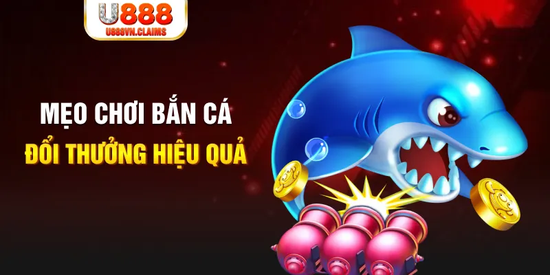 hay 88 gà chọi cam ranh