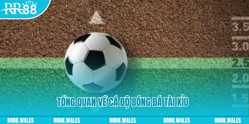 hay 88 đăng nhập roulette online