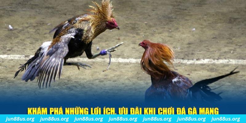 hay 88 đăng nhập liêng live