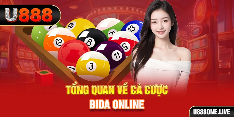 hay 88 xem xổ số miền bắc