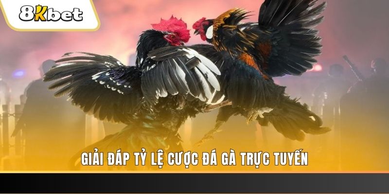 hay 88 ban ca online