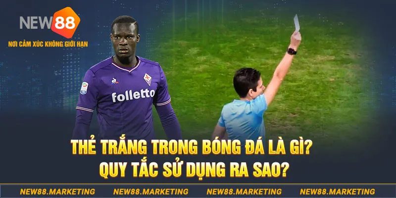 hay 88 đăng nhập sòng bạc hôm nay