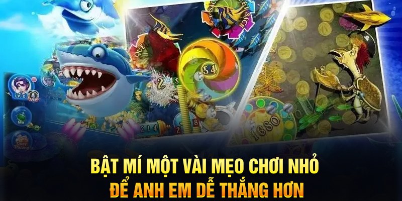hay 88 xổ số thứ ba
