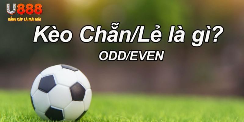 hay 88 đăng nhập sòng bạc 2024