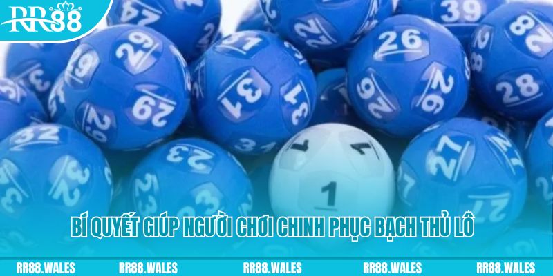 hay 88 nohu .mx nổ hũ là gì
