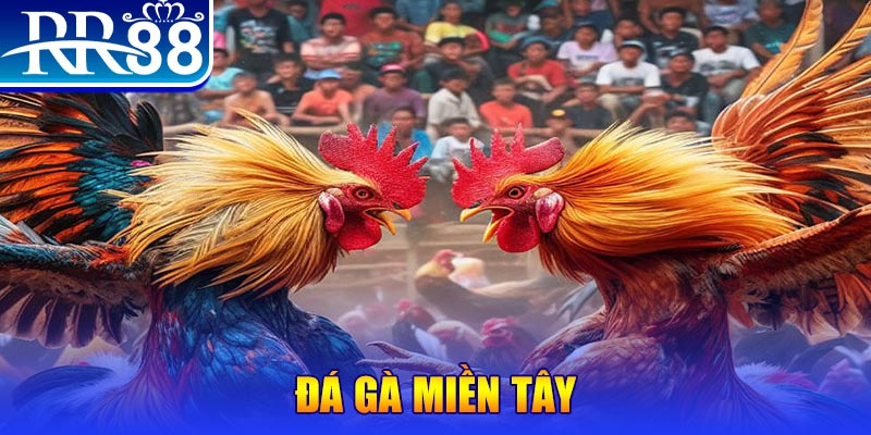 hay 88 xổ số miền bắc thứ bảy