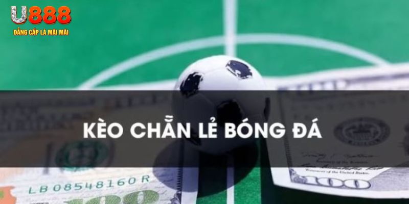 hay 88 gà chọi c1.tv