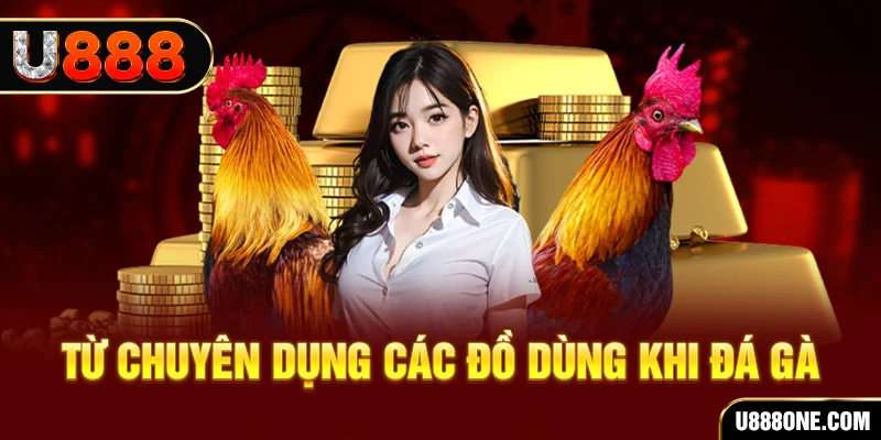 hay 88 đá gà trực tiếp campuchia