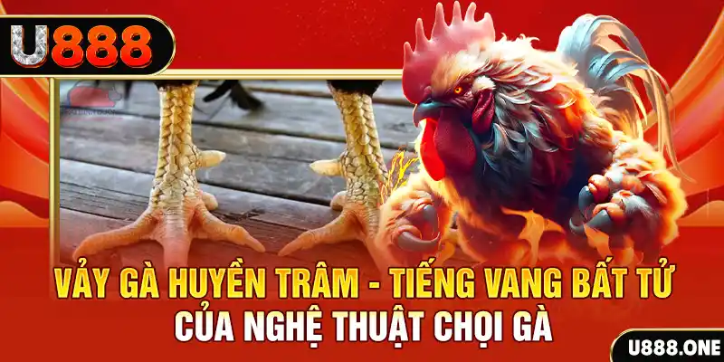 hay 88 xổ số trực tiếp miền bắc